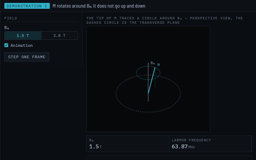 Demonstration: magnetization rotating around the field, with the Larmor frequency