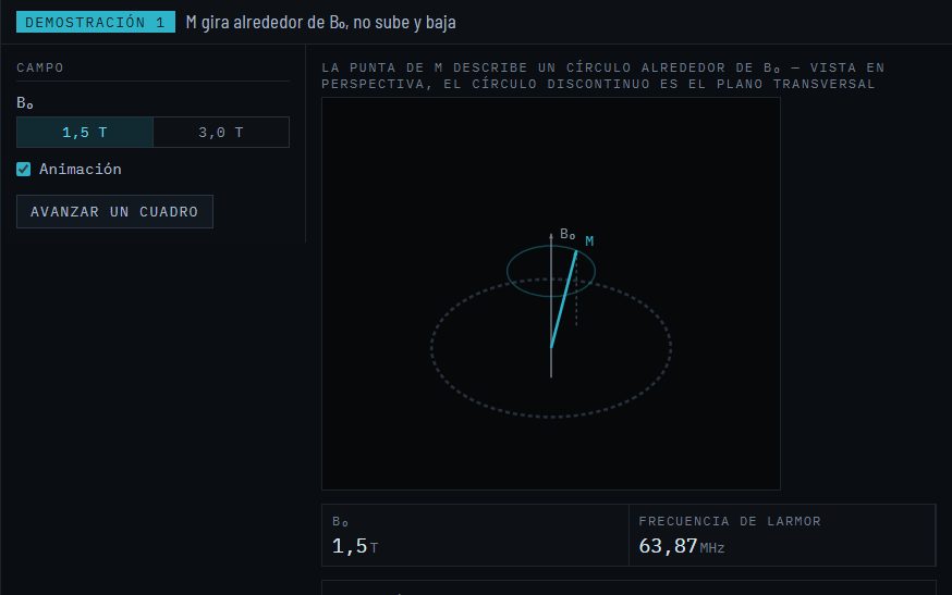 Demostración: la magnetización girando alrededor del campo, con la frecuencia de Larmor