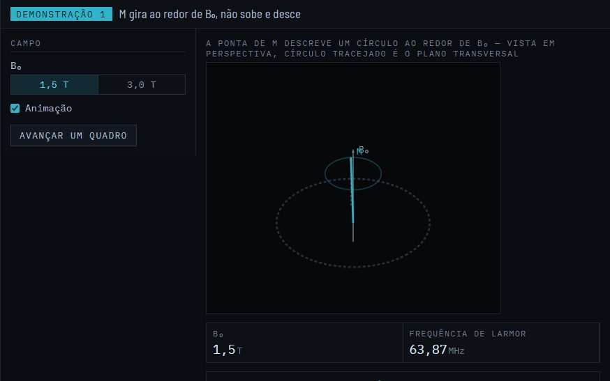 Demonstração: a magnetização girando ao redor do campo, com a frequência de Larmor